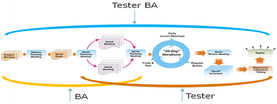 Can Software Tester Become a Business Analyst